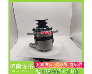 新疆5267909起动机15196041发电机 康明斯 潍柴 WP4.1 中国重汽 豪沃T7H 潍柴 WP9 柳工（LiuGong）压路机 徐工挖机重卡矿车潍柴WP4 神钢 SK330 J08E 启动机