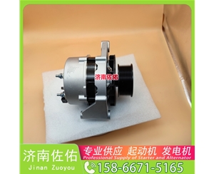 新疆发电机 1001828445启动机3103950 XCMG XR120 WP10